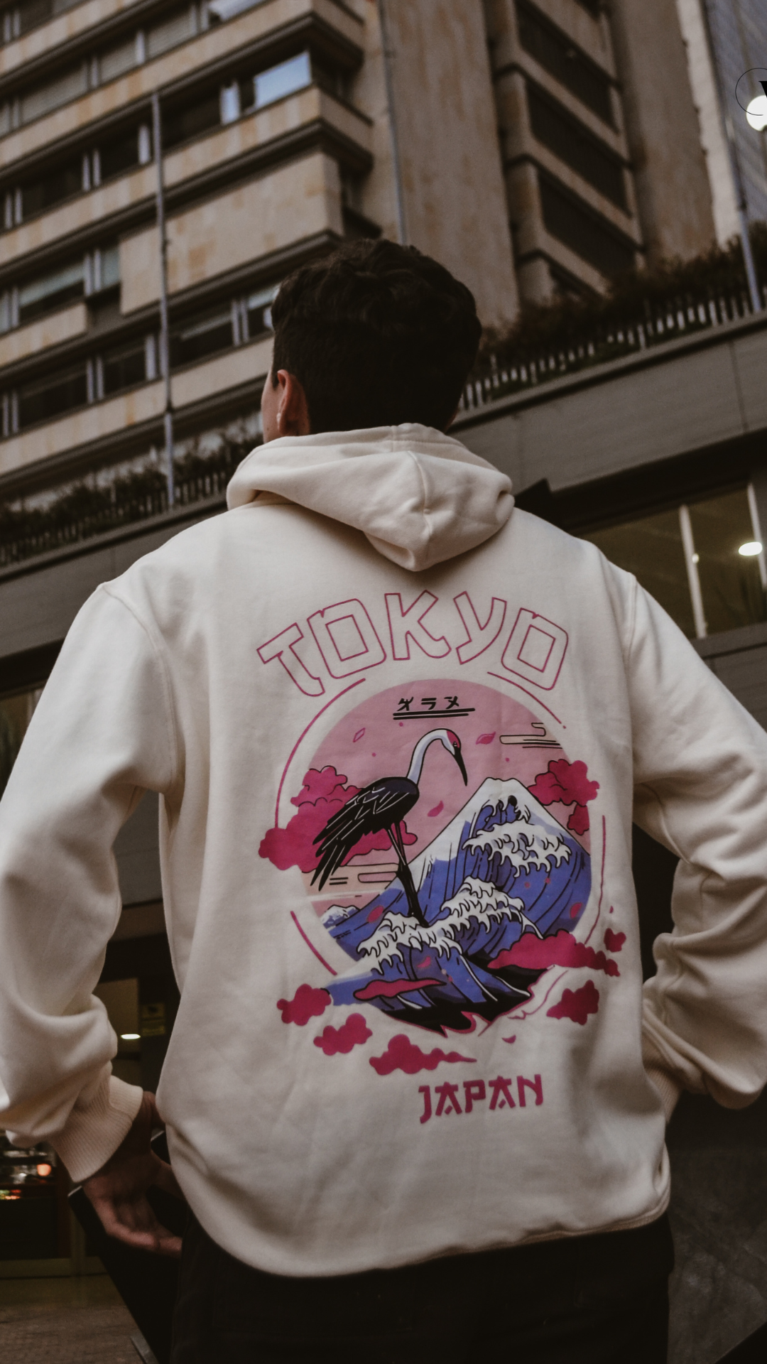 Hoodie Colección Fuji